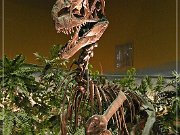 Wyoming Dinosaur Center