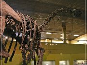 Wyoming Dinosaur Center