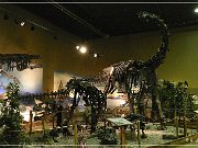 Wyoming Dinosaur Center