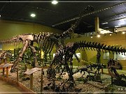 Wyoming Dinosaur Center