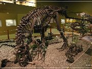 Wyoming Dinosaur Center