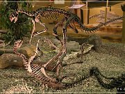 Wyoming Dinosaur Center