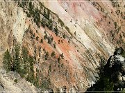 Grand Canyon of the Yellowstone
