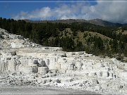 Mammoth Hot Springs