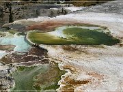 Mammoth Hot Springs