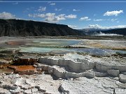 Mammoth Hot Springs
