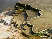 Mammoth Hot Springs
