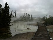 Noris Geyser Basin
