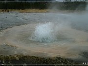 yellowstone_np_035