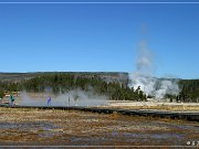 Upper Geyser Basin