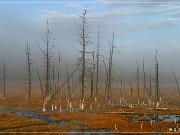 yellowstone_np_070