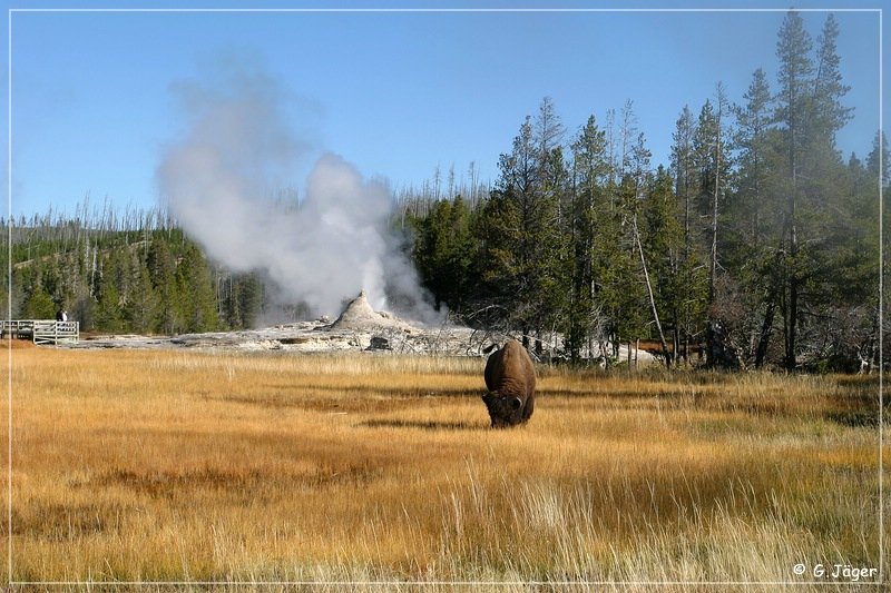 yellowstone_np_081.jpg