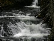 Kepler Cascades