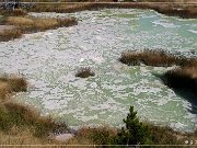 West Thumb Geyser Basin
