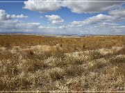 bruneau_canyon_overlook_01