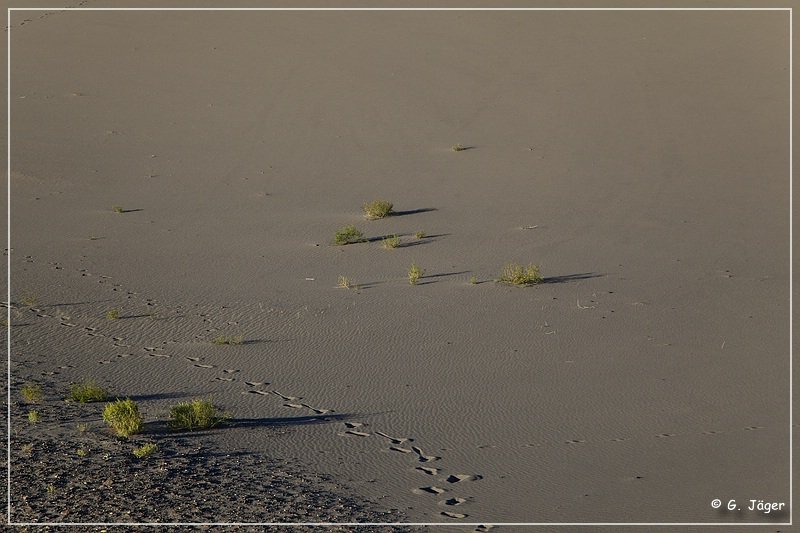 bruneau_dunes_sp_31.jpg