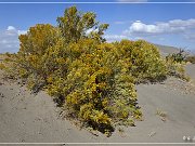 bruneau_dunes_sp_08