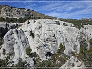 City of Rocks National Preserve