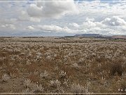 Snake River Birds of Prey