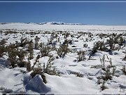 Winter - Three Creek Road