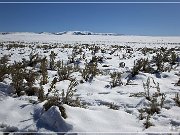 three_creek_road_winter_05