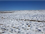 Winter - Three Creek Road