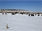Winter - Three Creek Road