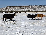 Winter - Three Creek Road