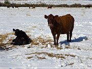 Winter - Three Creek Road