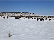 Winter - Three Creek Road