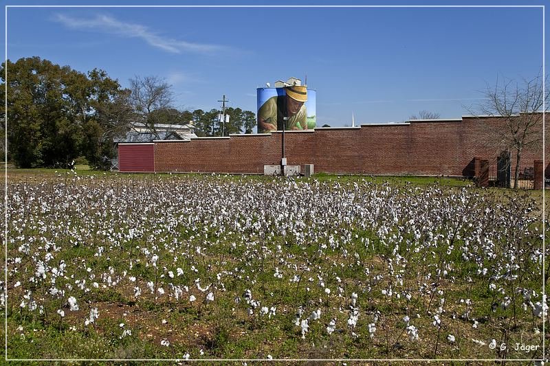 colquitt_murals_13.jpg