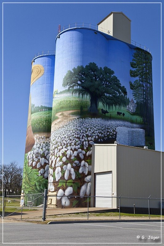 colquitt_murals_15.jpg