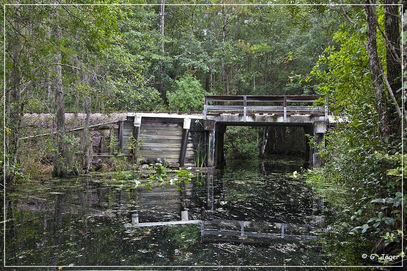 okefenokee_swamp_25.jpg