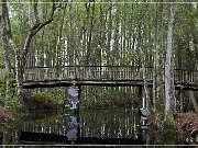 okefenokee_swamp_01