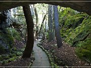 Rock City Gardens