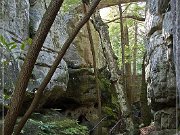 Rock City Gardens