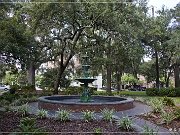 savannah_02