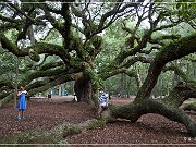 Angel Oak
