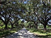 boone_hall_plantation_01