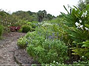 boone_hall_plantation_2015_06