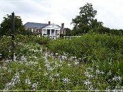 boone_hall_plantation_2015_09