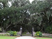 boone_hall_plantation_2015_11