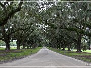 boone_hall_plantation_2015_12