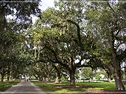 Boone Hall Plantation