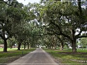 Boone Hall Plantation