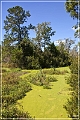audubon_swamp_garden_18