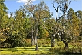 audubon_swamp_garden_21