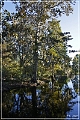 magnolia_plantation_lakes_03