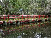 magnolia_plantation_gardens_2015_03