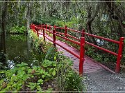 magnolia_plantation_gardens_2015_04